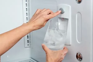 Ice Maker Issues photo